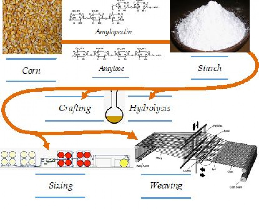 Synthesis of Corn Starch Derivatives and Their Application in Yarn