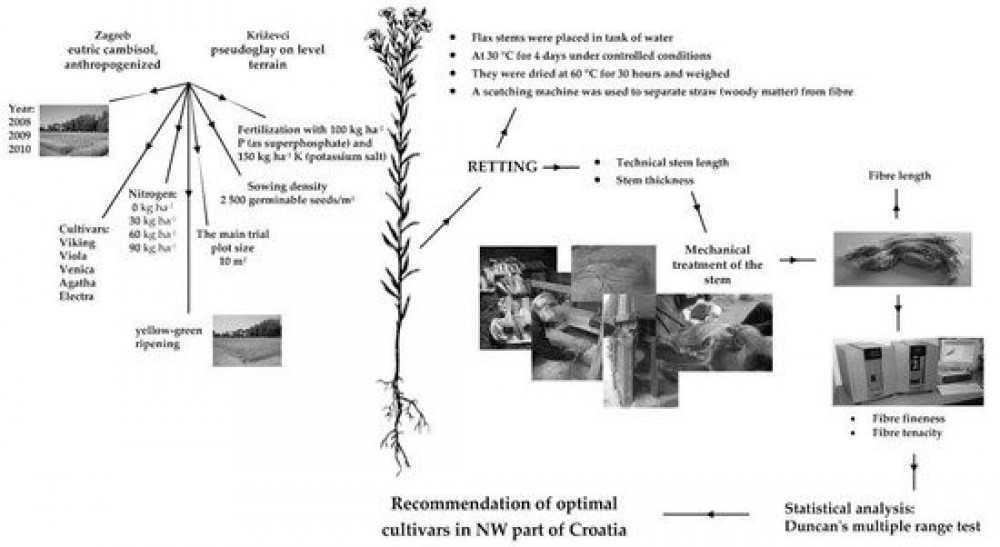Effect of Nitrogen on the Properties of Flax (Linum usitatissimum L.) Plants and Fibres - 2022
