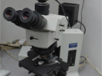 Universal microscope with digital
image analysis