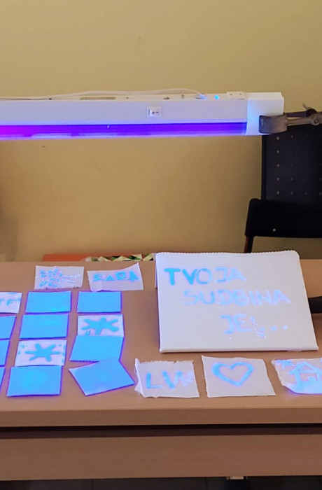 DAN OTVORENIH VRATA 8- SAVSKA