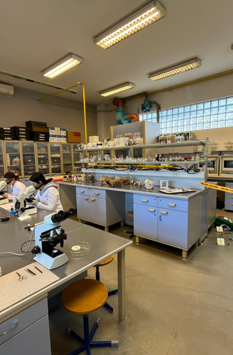 DAN OTVORENIH VRATA 10- MATERIJALI, VLAKNA