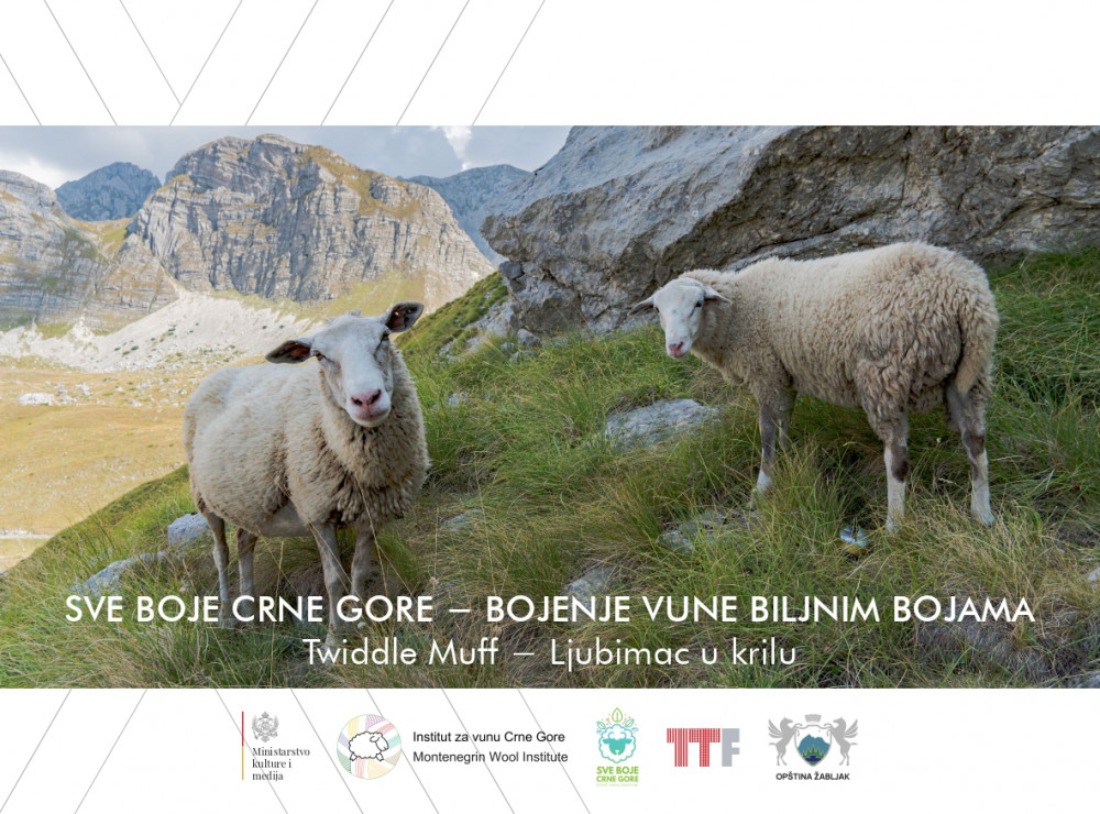 Izložba „Sve boje Crne Gore – bojenje vune biljnim bojama“