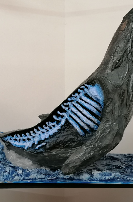 Below the Surface (1)