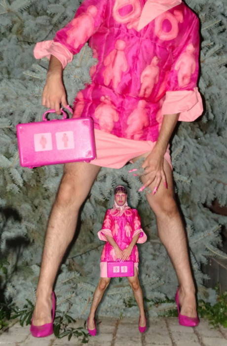 Pink izložba-Fran Krzak