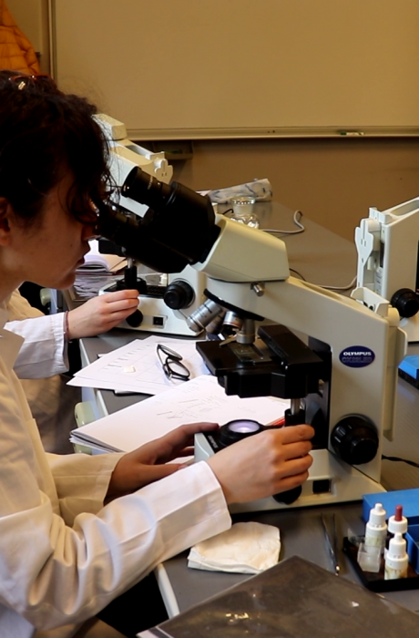 Materijali, vlakna i ispitivanje tekstila